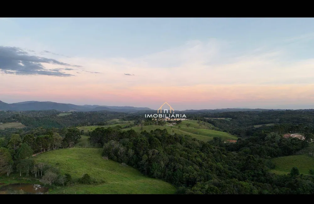 Fazenda, 52 hectares - Foto 12
