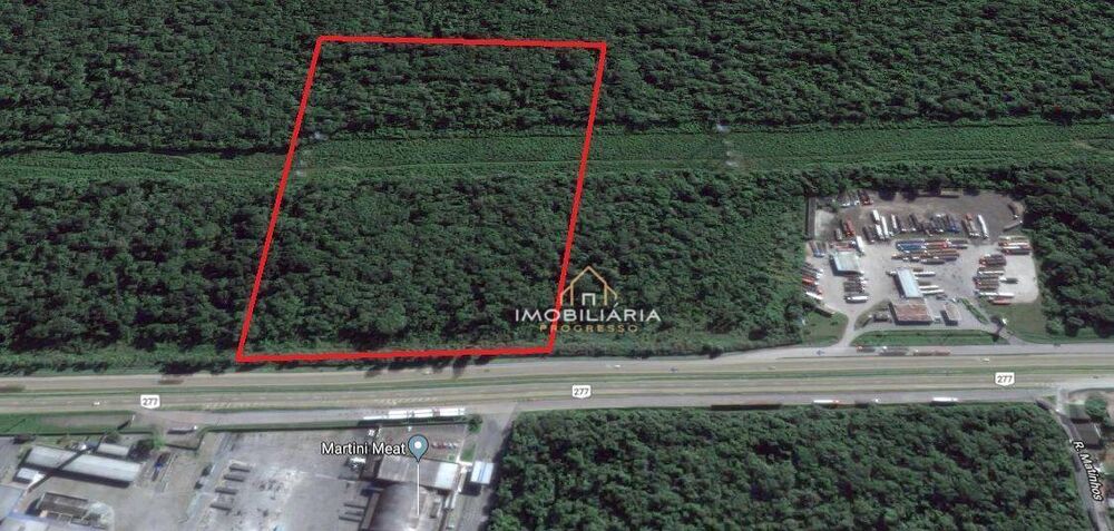 Terreno, 3 hectares - Foto 4