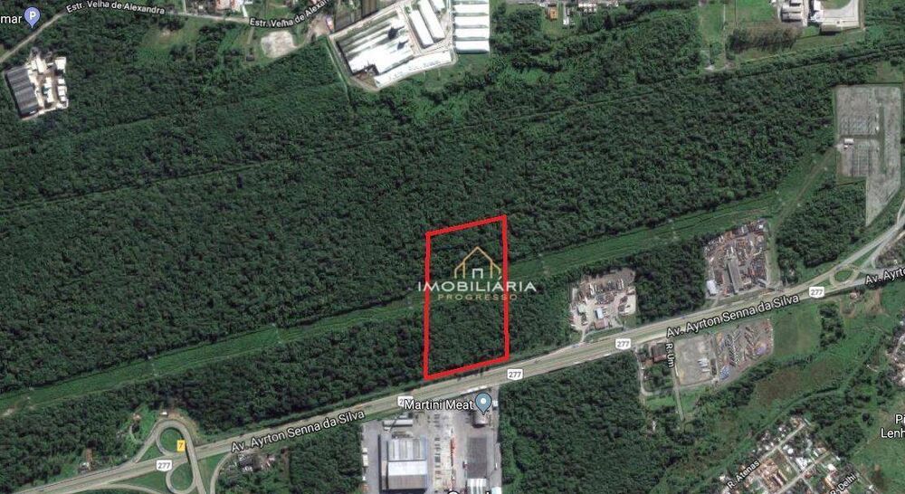 Terreno, 3 hectares - Foto 1