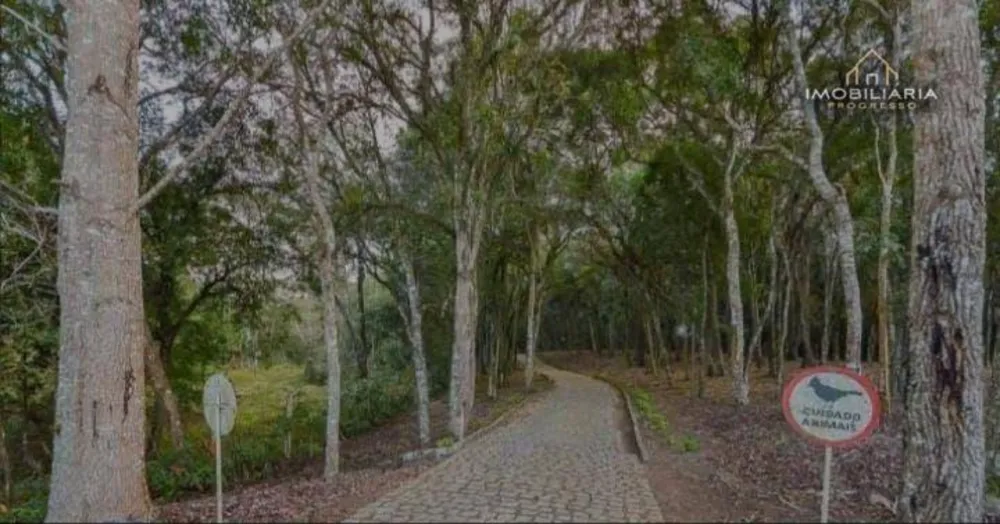 Chácara, 6 quartos, 8 hectares - Foto 14