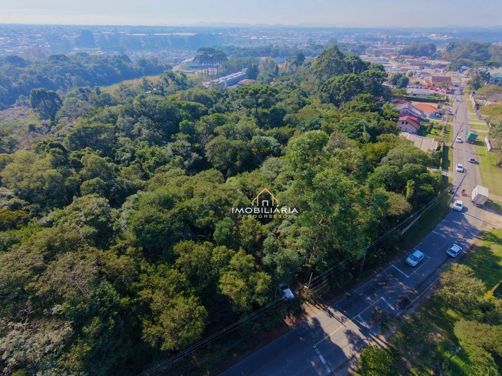 Terreno, 5562 m² - Foto 4
