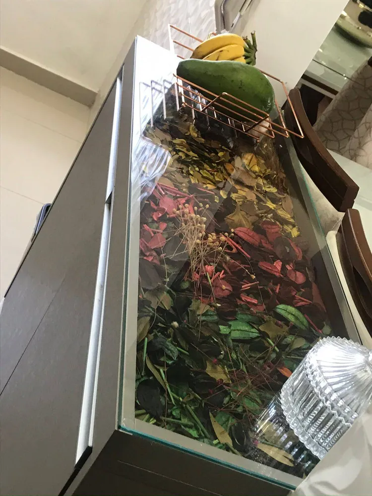 Apartamento, 3 quartos, 70 m² - Foto 5