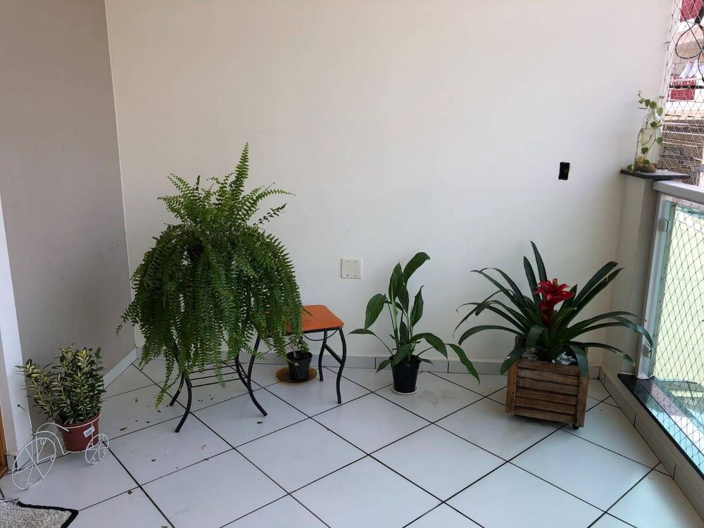 Casa, 3 quartos, 298 m² - Foto 2