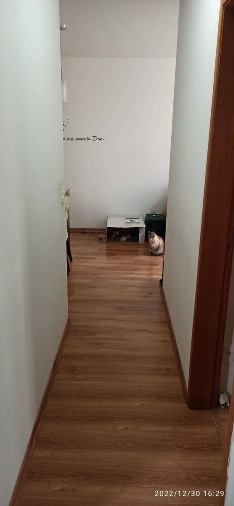Apartamento, 3 quartos, 60 m² - Foto 17