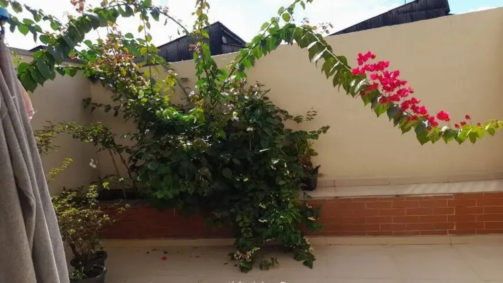 Casa, 3 quartos, 166 m² - Foto 16