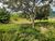 Chácara, 5 quartos, 1 hectares - Foto 4