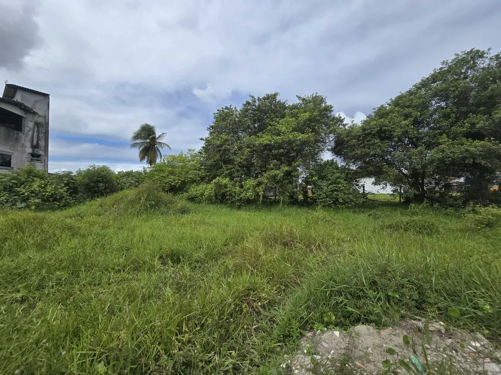 Terreno, 398 m² - Foto 6