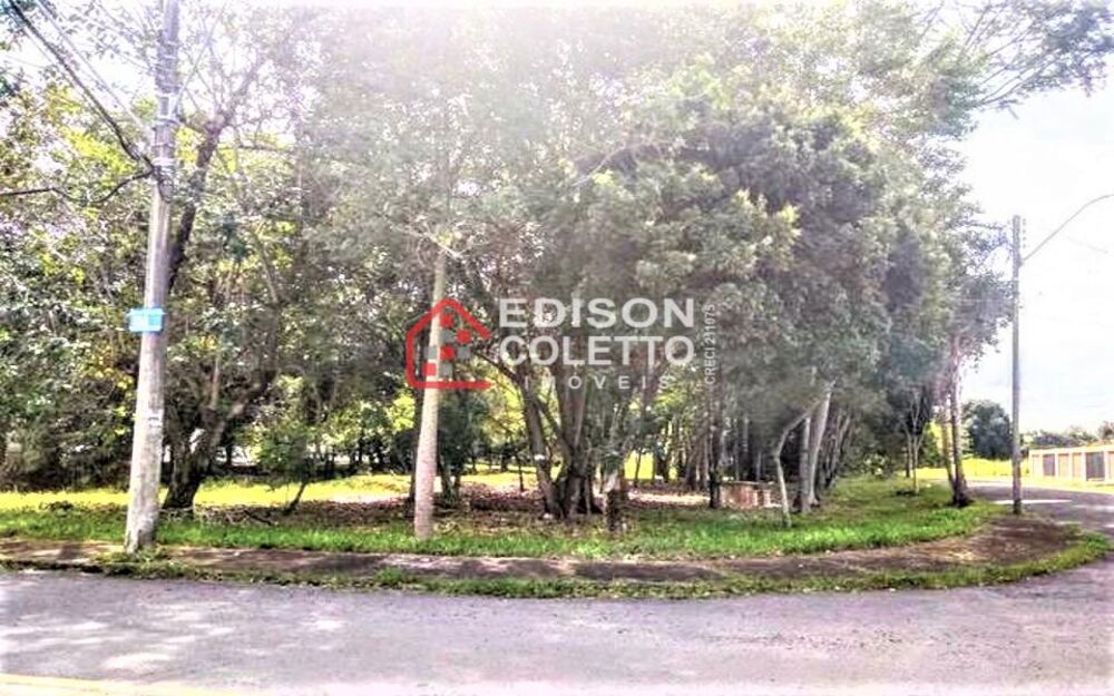 Terreno, 294 m² - Foto 4