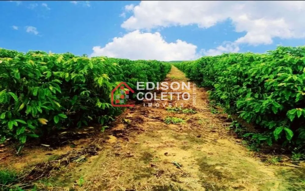 Fazenda, 600 hectares - Foto 10