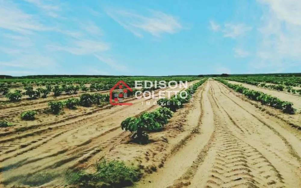 Fazenda, 600 hectares - Foto 8