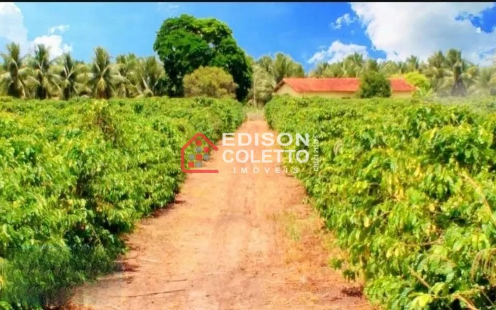 Fazenda, 600 hectares - Foto 9