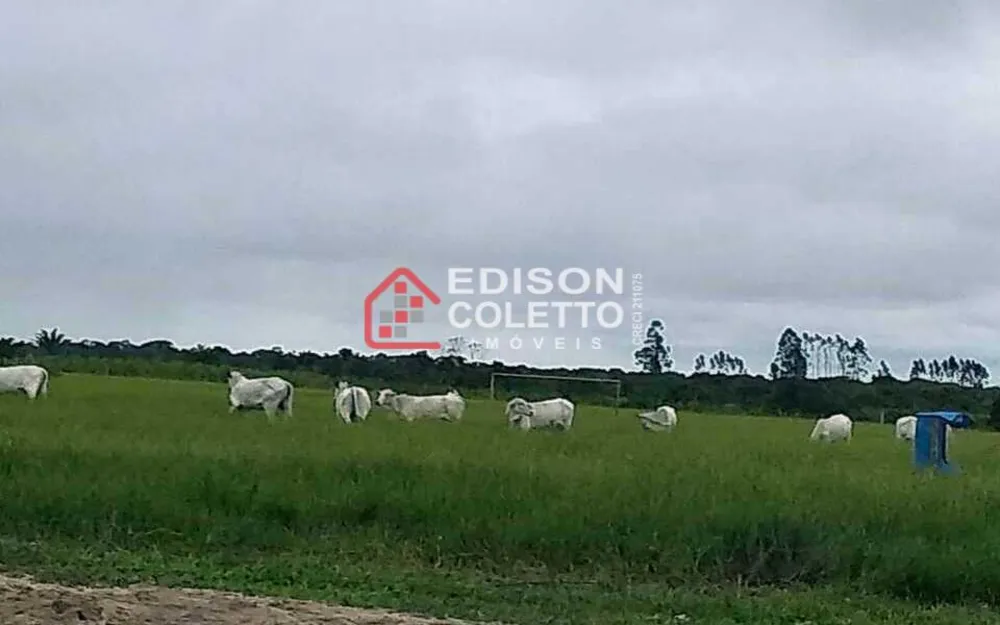 Fazenda, 600 hectares - Foto 14