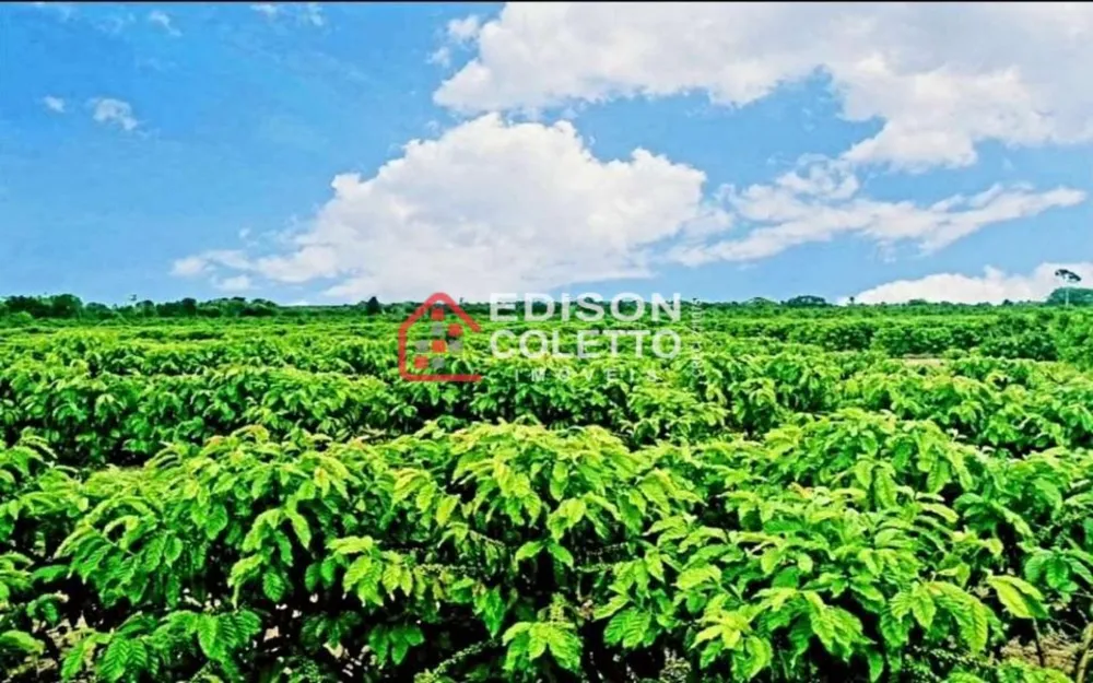 Fazenda, 600 hectares - Foto 11