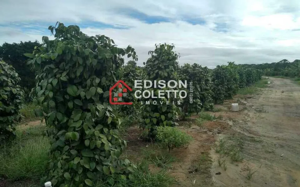 Fazenda, 600 hectares - Foto 4