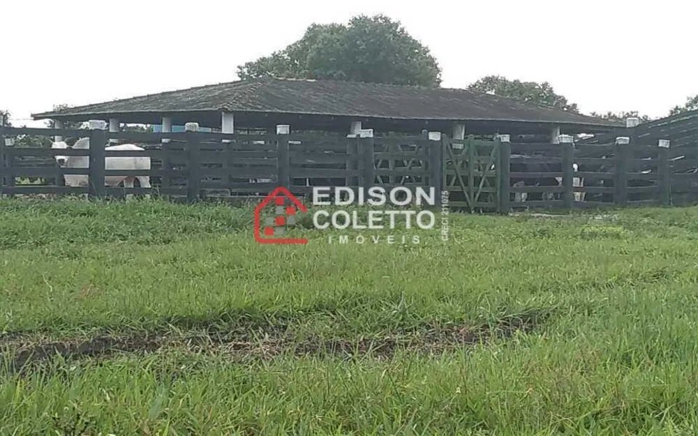 Fazenda, 600 hectares - Foto 15