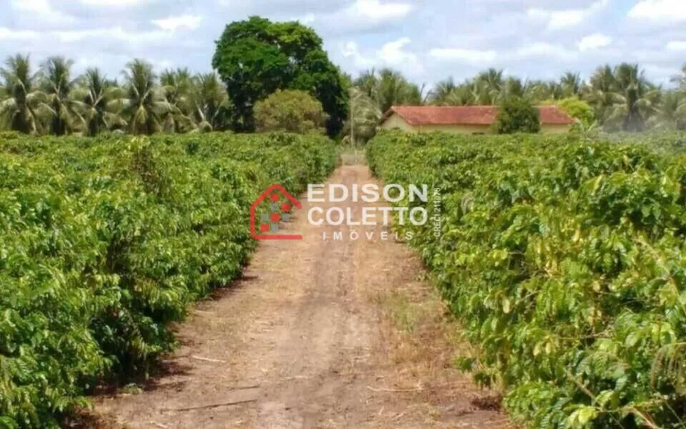 Fazenda, 600 hectares - Foto 7