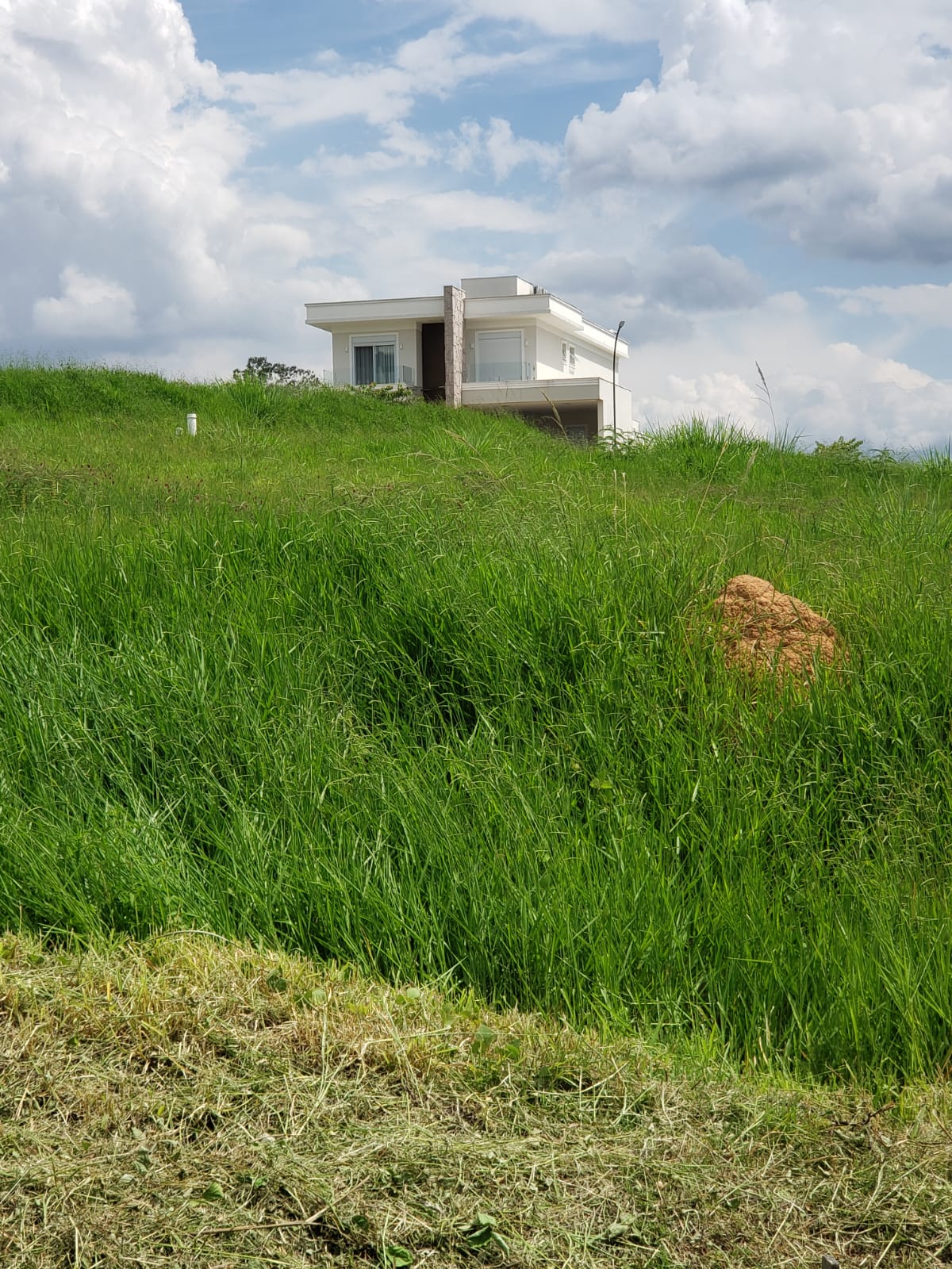 Terreno à venda, 600m² - Foto 4