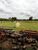 Fazenda, 138 m² - Foto 4
