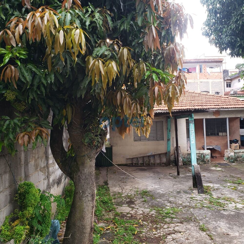 Terreno, 300 m² - Foto 2