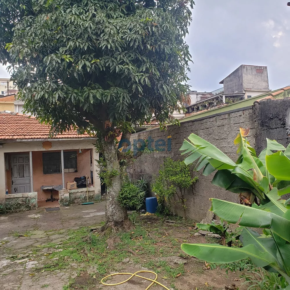 Terreno, 300 m² - Foto 3