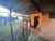 Casa, 2 quartos, 60 m² - Foto 4
