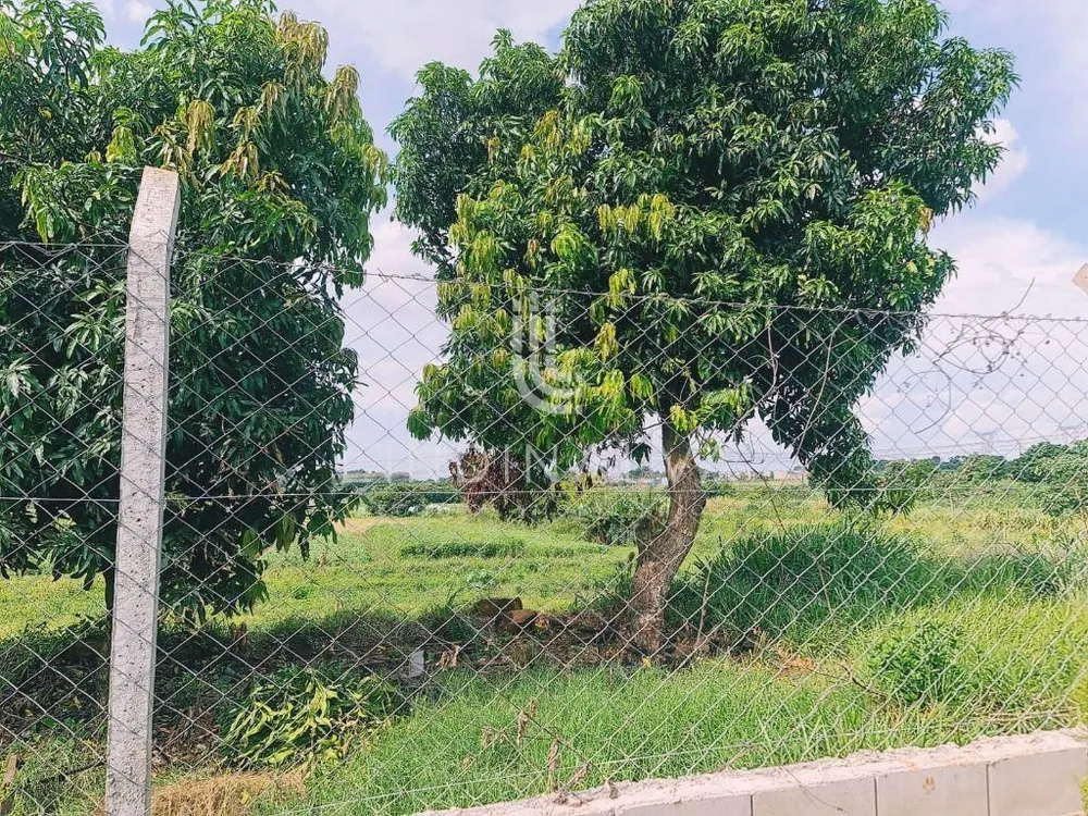 Terreno, 2 hectares - Foto 7
