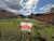 Terreno, 300 m² - Foto 4