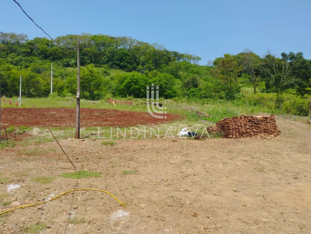 Sítio, 4 hectares - Foto 6