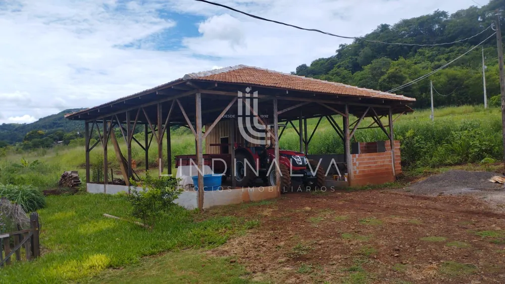 Sítio, 4 hectares - Foto 10