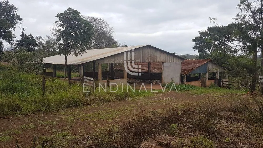 Chácara, 3 hectares - Foto 3