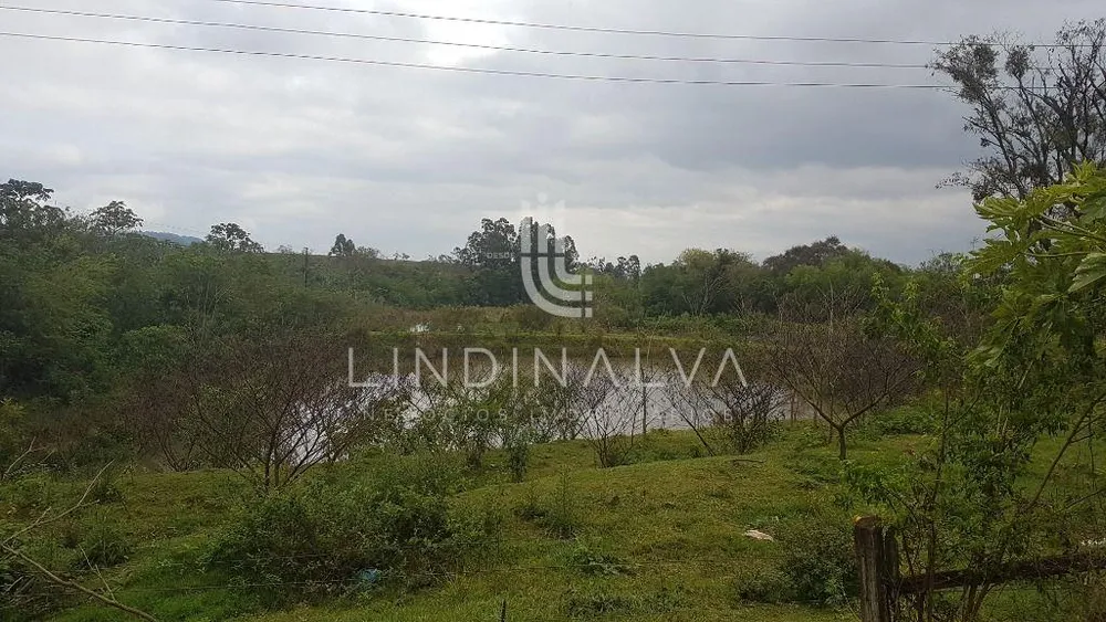 Chácara, 3 hectares - Foto 4
