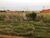 Terreno, 234 m² - Foto 5
