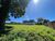 Terreno, 557 m² - Foto 4