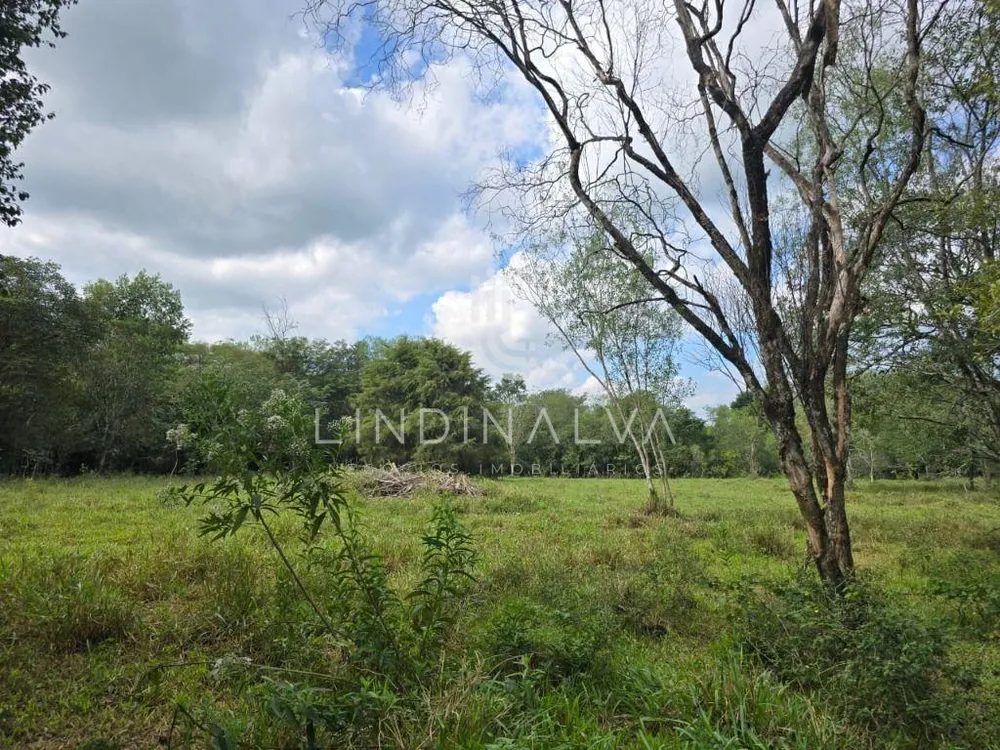 Chácara, 2 quartos, 2 hectares - Foto 10