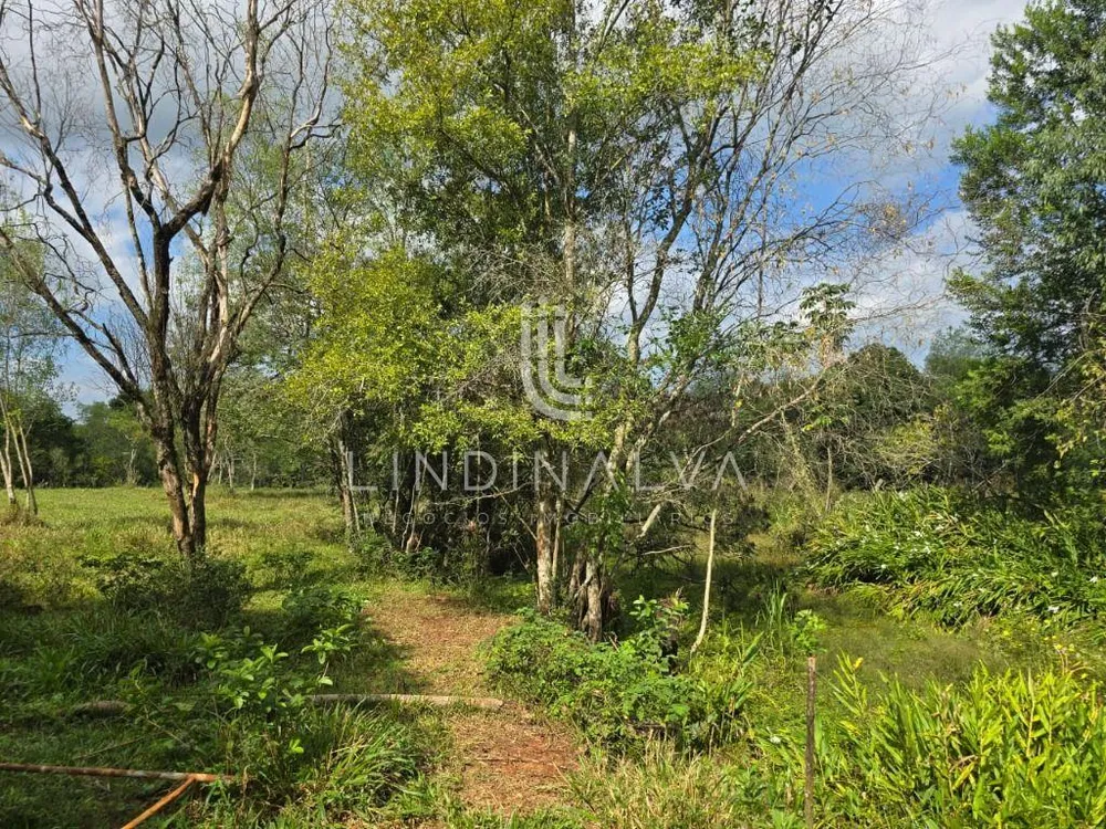 Chácara, 2 quartos, 2 hectares - Foto 14