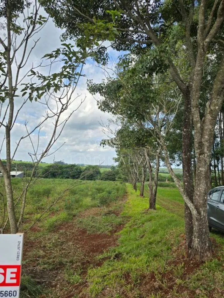 Chácara, 2 quartos, 2 hectares - Foto 1