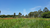 Terreno, 2 hectares - Foto 12