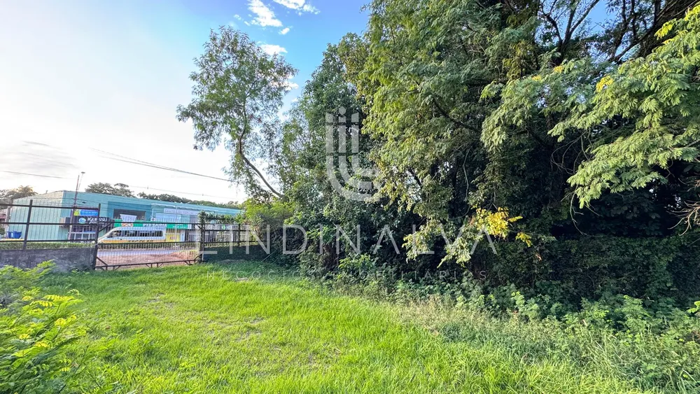 Terreno, 2 hectares - Foto 6