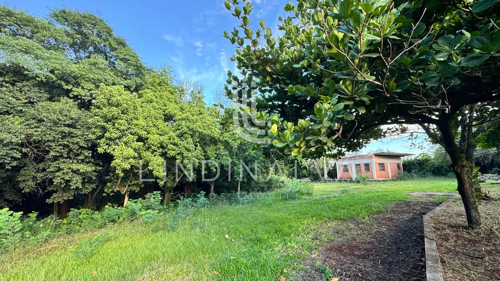 Terreno, 2 hectares - Foto 4