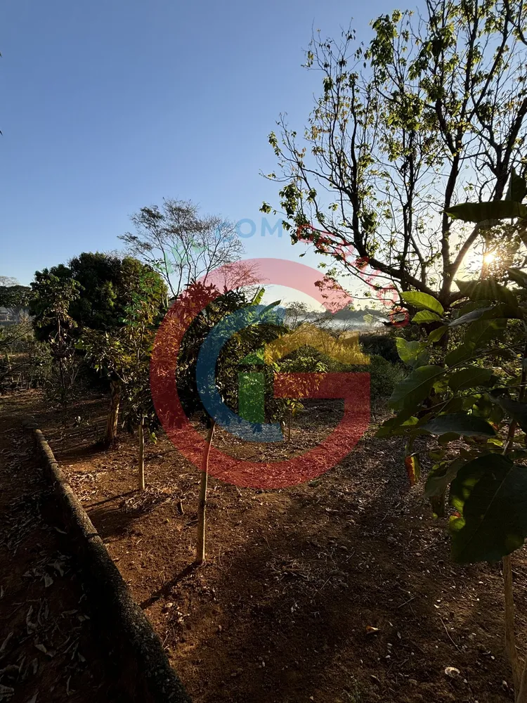 Terreno, 2 hectares - Foto 7