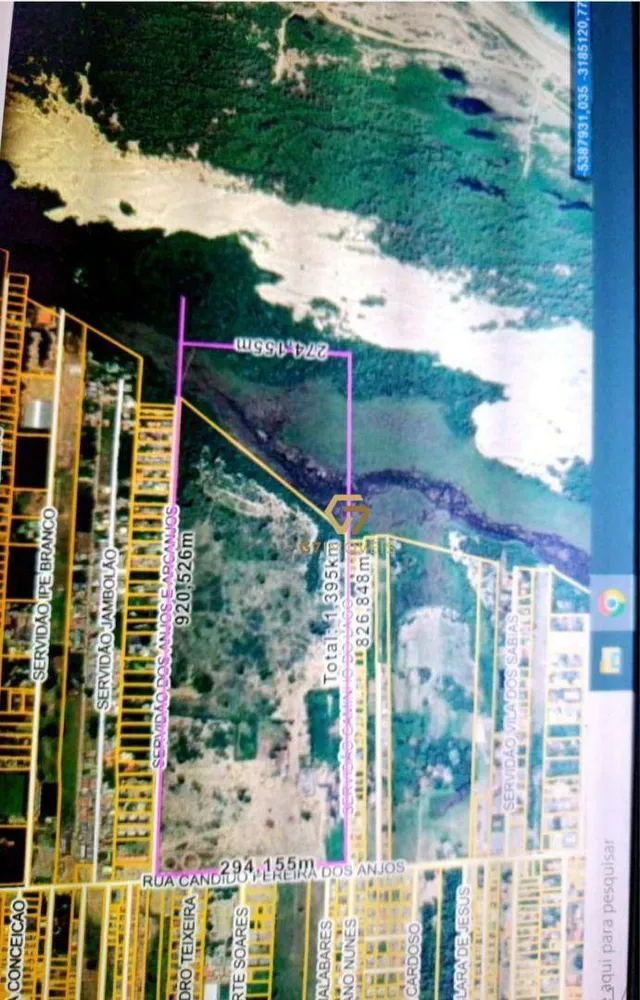 Terreno, 38 hectares - Foto 3