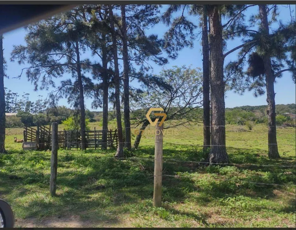 Terreno, 7 hectares - Foto 2