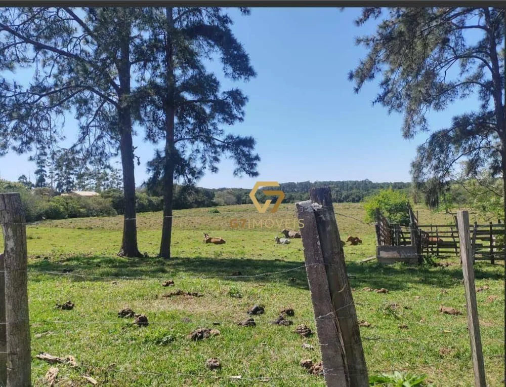 Terreno, 7 hectares - Foto 3