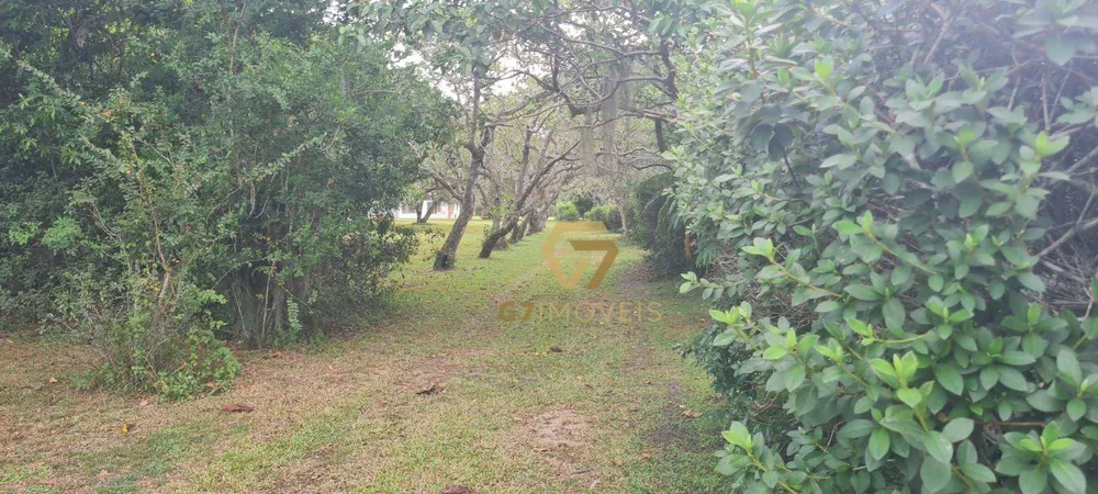 Terreno, 10 hectares - Foto 2