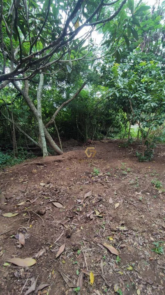 Terreno, 6650 m² - Foto 1