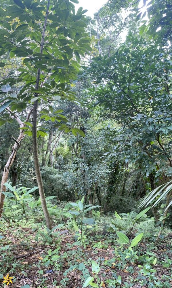 Terreno, 778 m² - Foto 4
