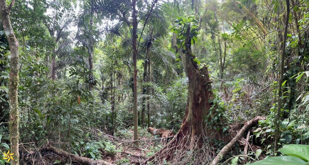 Terreno, 778 m² - Foto 2