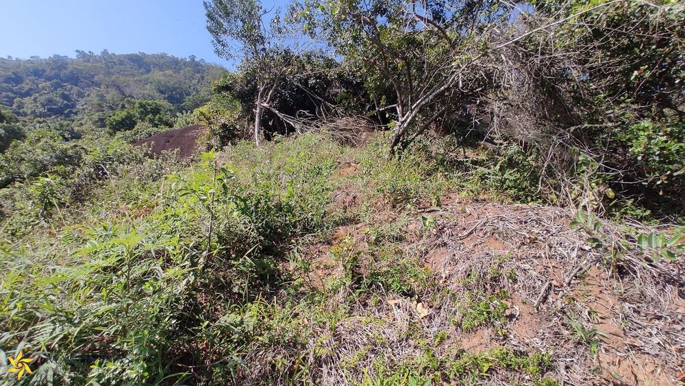 Terreno, 1010 m² - Foto 12