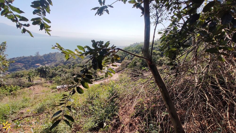 Terreno, 1010 m² - Foto 3