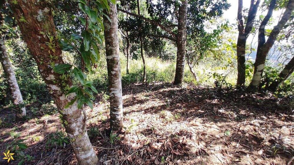 Terreno, 1010 m² - Foto 15